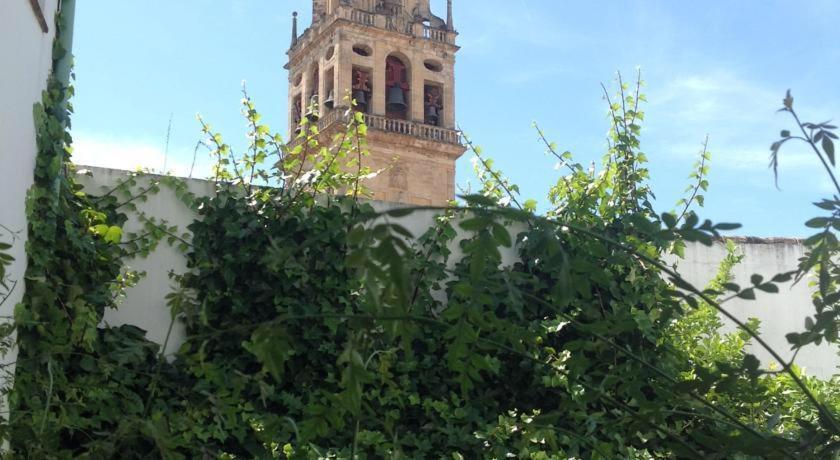 Entre 2 Mezquitas Apartment Kordoba Bagian luar foto